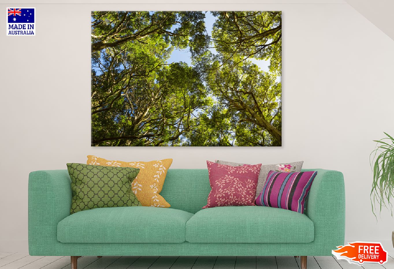 Beech Forest Trees Tops View Photograph Print 100% Australian Made