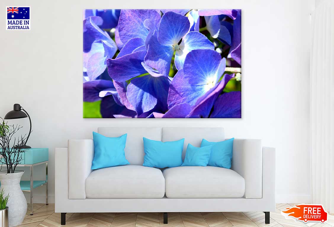 Blue Purple Hydrangea Closeup View Photograph Print 100% Australian Made