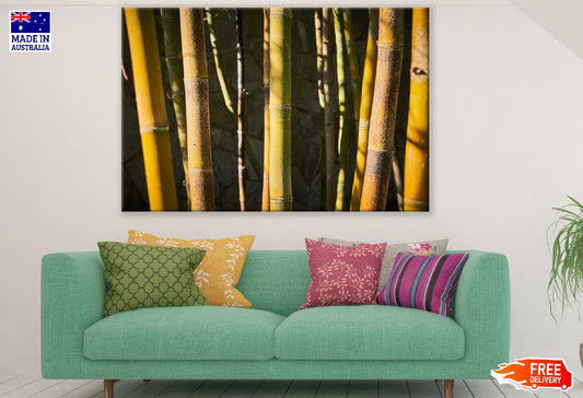 Bamboo Tree Forest Photograph Print 100% Australian Made