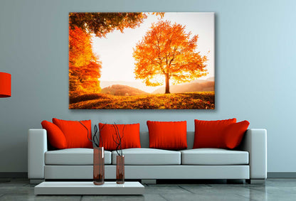 Bella Home Dramatic Scene in Golden Hour Print Canvas Ready to hang