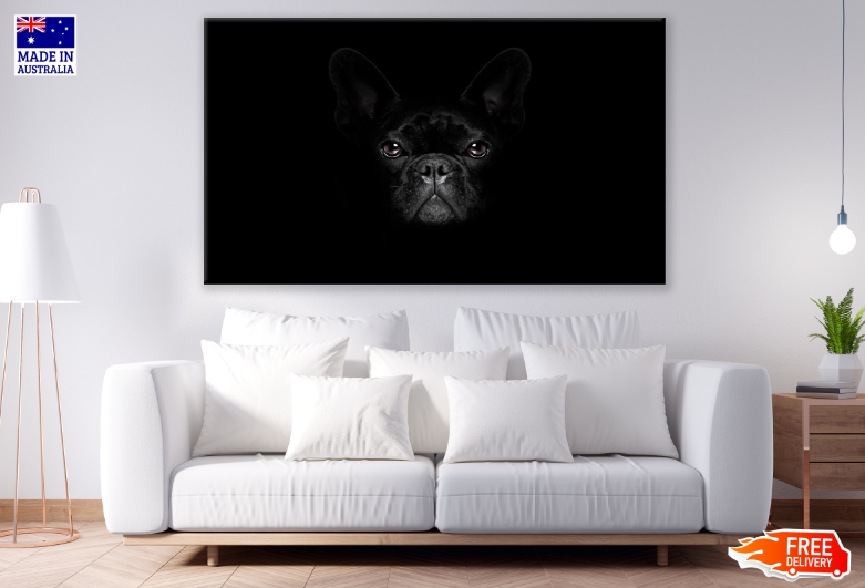 Dog Face B&W Photograph Print 100% Australian Made