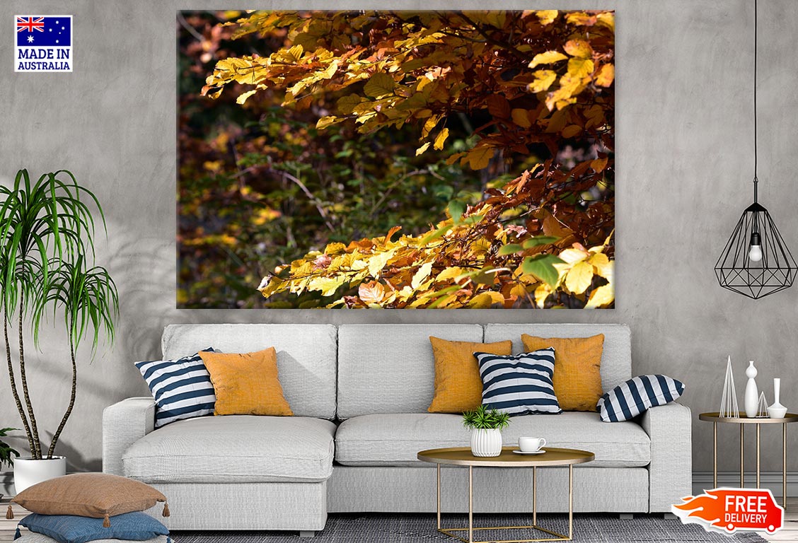 Autumn Leaves Closeup Photograph Print 100% Australian Made