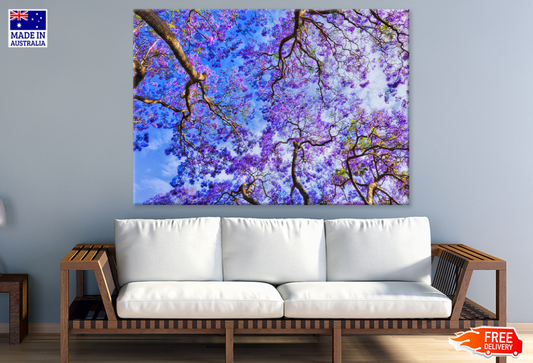 Blossom Flower Trees View Photograph Print 100% Australian Made