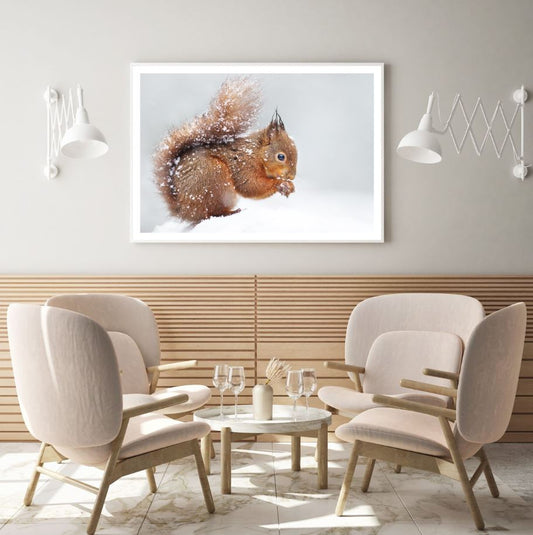 Squirrel on Snow Photograph Home Decor Premium Quality Poster Print Choose Your Sizes