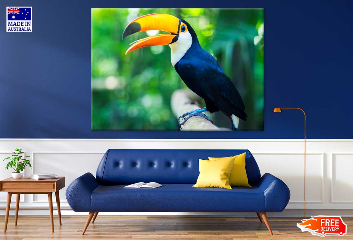 Toucan Bird View Photograph Print 100% Australian Made