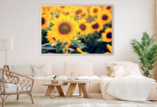 Sunflower Field Closeup View Photograph Home Decor Premium Quality Poster Print Choose Your Sizes