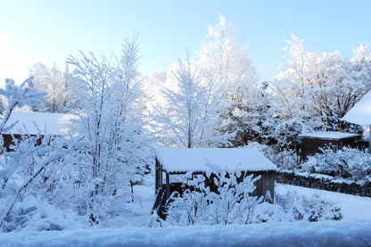 Snow Trees Covered House View Photograph Home Decor Premium Quality Poster Print Choose Your Sizes