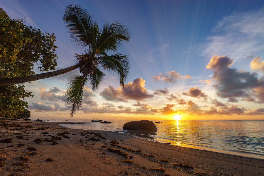 Bella Home Paradise Beach With Palms & Sunrise Print Canvas Ready to hang