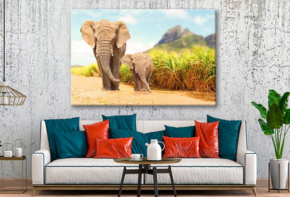 Bella Home Elephant & Calf Walking Together Print Canvas Ready to hang