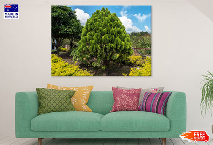 Garden Tree & Blue Sky View Photograph Print 100% Australian Made