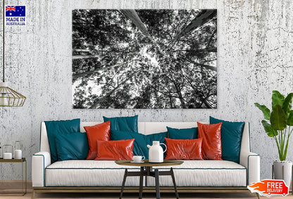 Forest Trees View from Below B&W Photograph Print 100% Australian Made