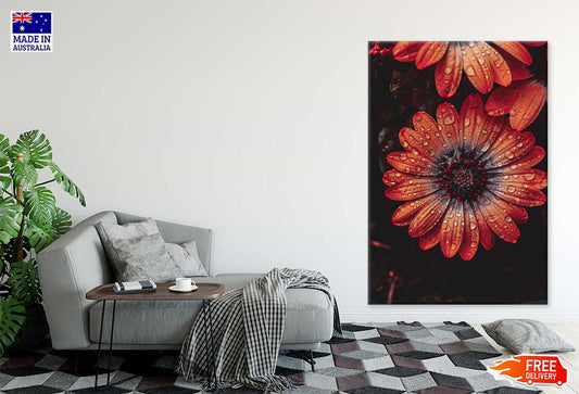 Water Droplet on Orange Gerbera View Photograph Print 100% Australian Made