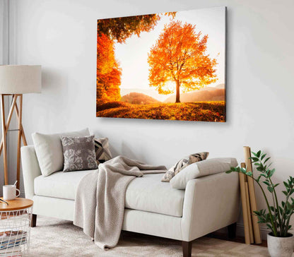 Bella Home Dramatic Scene in Golden Hour Print Canvas Ready to hang