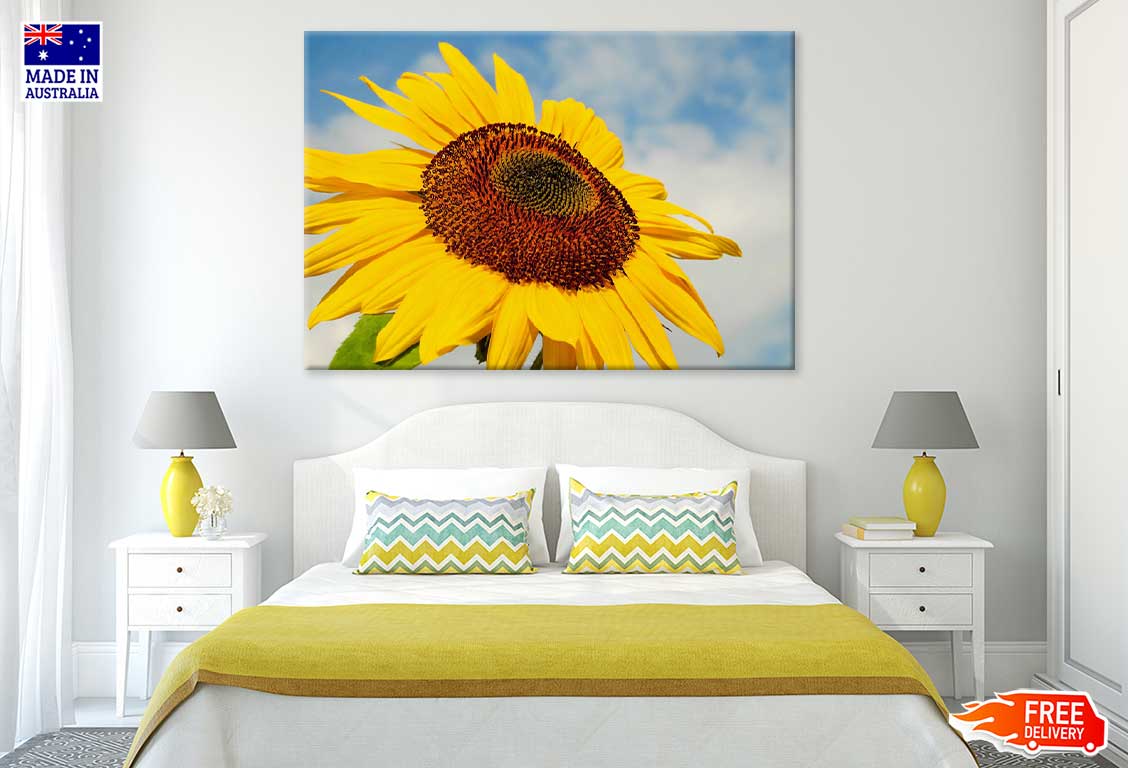 Sunflower Closeup View Photograph Print 100% Australian Made