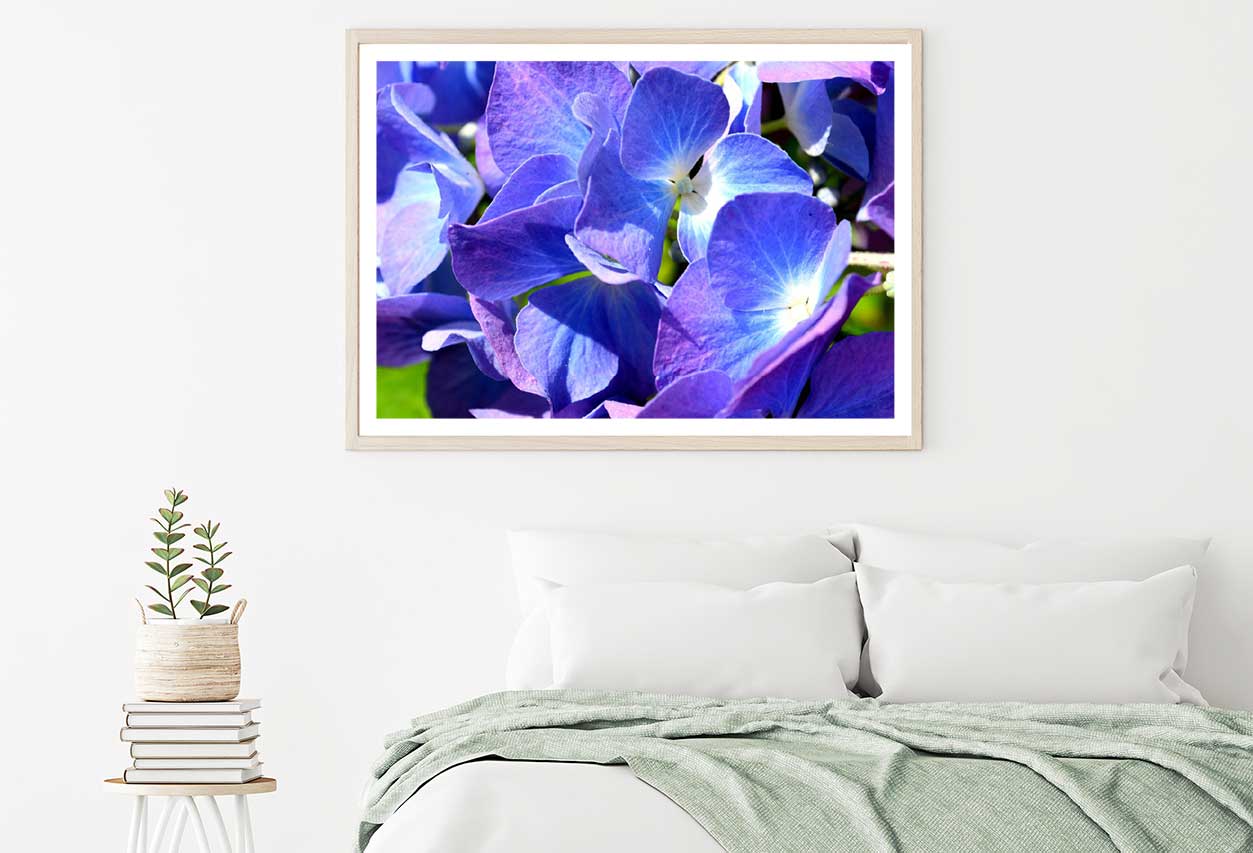 Blue Purple Hydrangea Closeup View Photograph Home Decor Premium Quality Poster Print Choose Your Sizes