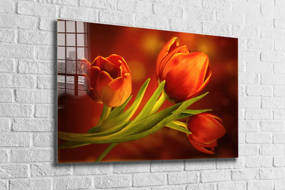 Red Orange Tulips View Print Tempered Glass Wall Art 100% Made in Australia Ready to Hang