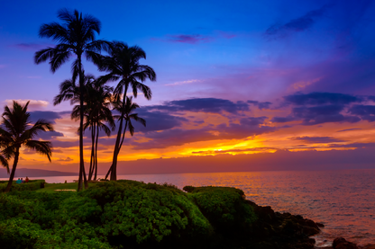 Palm Trees & Sunset Sky Scenery View Photograph Print 100% Australian Made