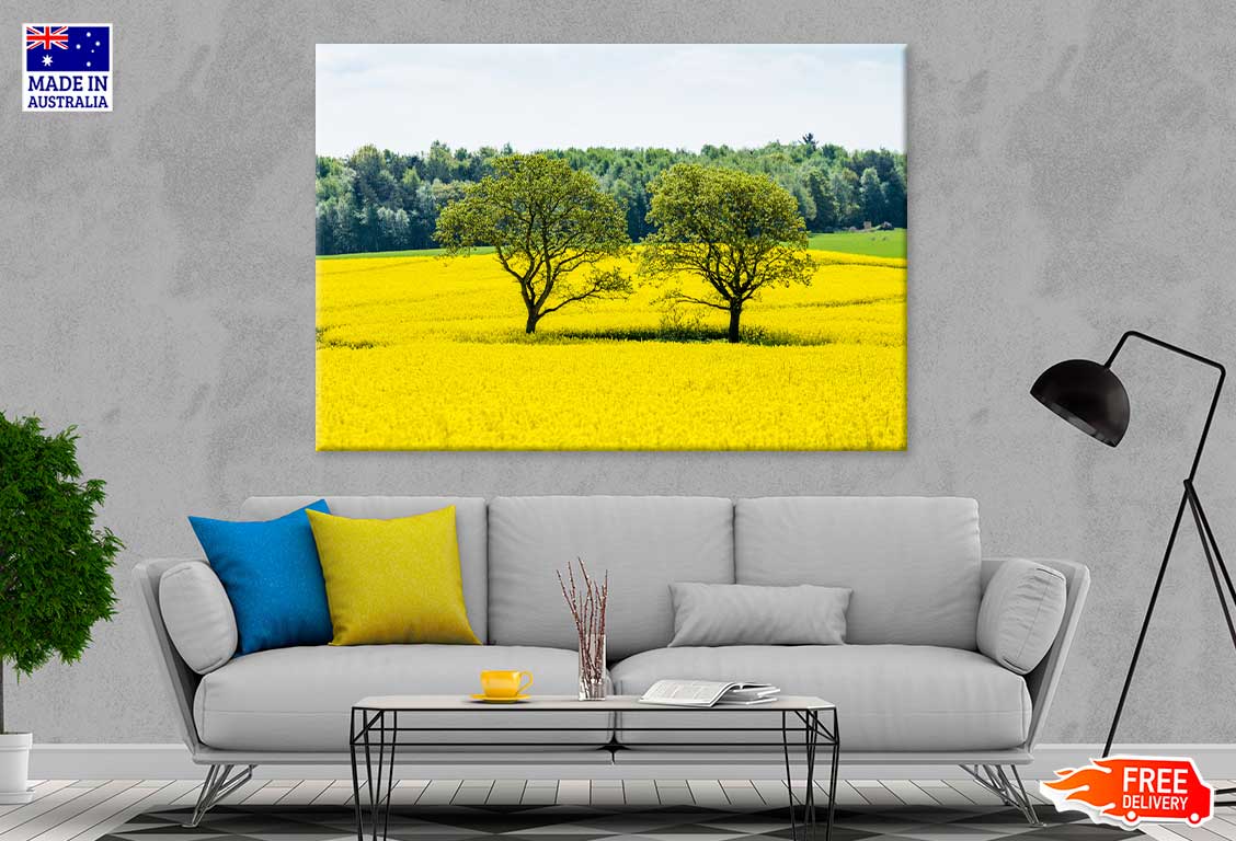 Trees on Yellow Flower Field Scenery Photograph Print 100% Australian Made