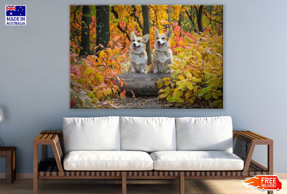 Two Dogs On Autumn Trees Photograph Print 100% Australian Made