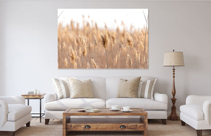 Stunning grass nature Print 100% Australian Made