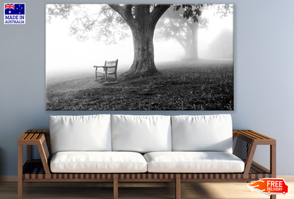 Bench Under Tree Dark Misty Photograph Print 100% Australian Made