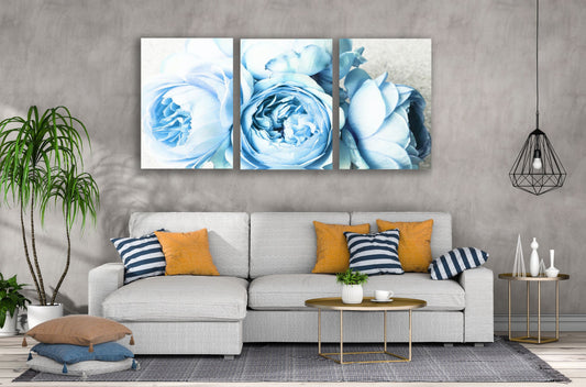 3 Set of Peony Flowers Closeup Photograph High Quality Print 100% Australian Made Wall Canvas Ready to Hang