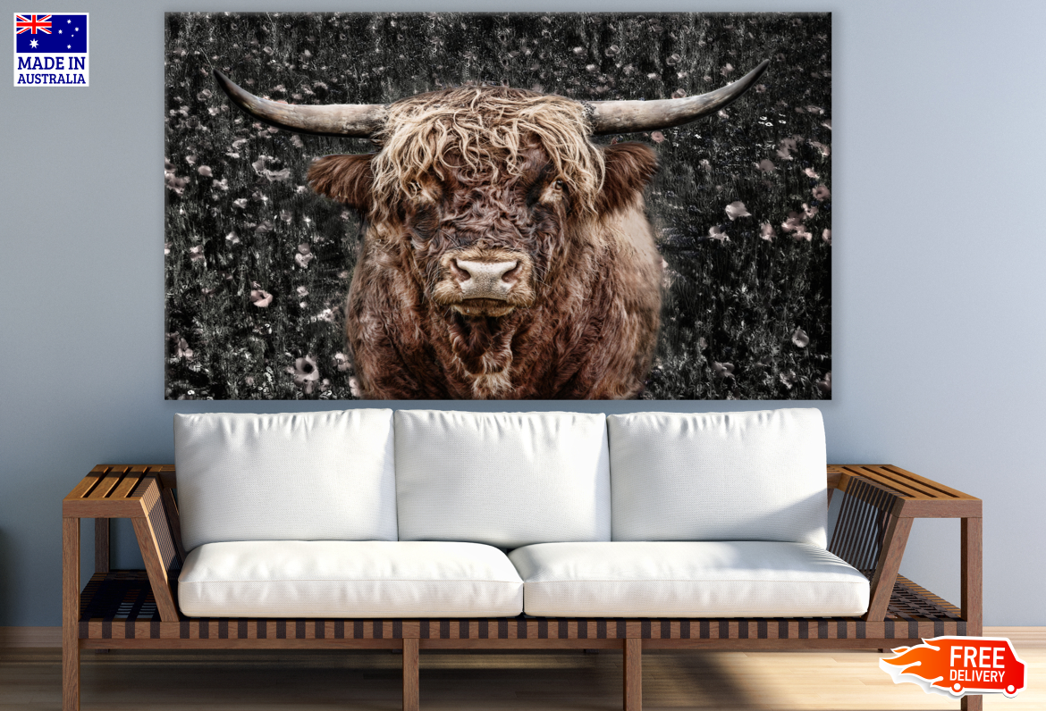 Highland Cow Portrait Photograph Print 100% Australian Made