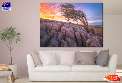 Tree On Rock & Sunset View Print 100% Australian Made