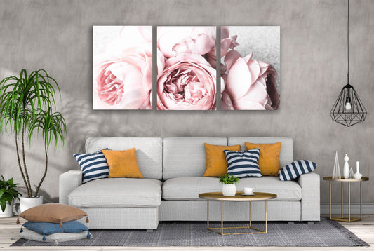 3 Set of Peony Flowers Closeup Photograph High Quality Print 100% Australian Made Wall Canvas Ready to Hang