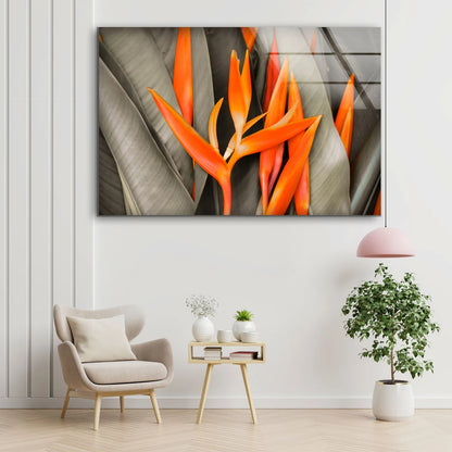 Orange Flowers Photograph Acrylic Glass Print Tempered Glass Wall Art 100% Made in Australia Ready to Hang