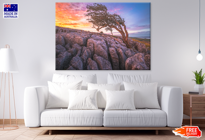 Tree On Rock & Sunset View Print 100% Australian Made