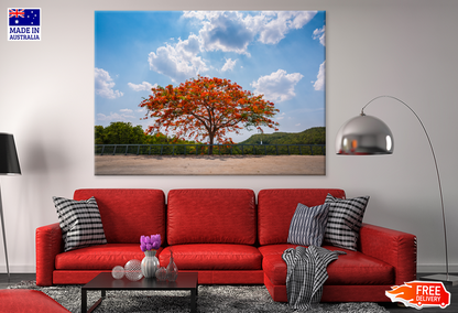 Red Flower Tree & Sky View Photograph Print 100% Australian Made