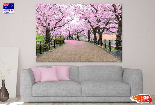 Cherry Blossom Flower Trees Road Photograph Print 100% Australian Made