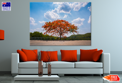 Red Flower Tree & Sky View Photograph Print 100% Australian Made