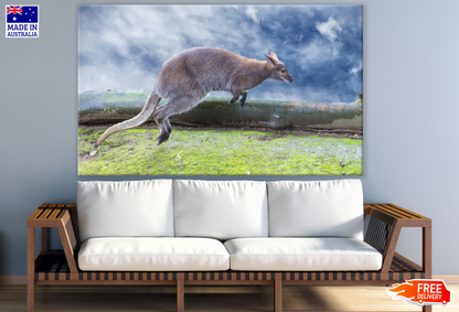 Kangaroo Hoping in a Meadow Print 100% Australian Made