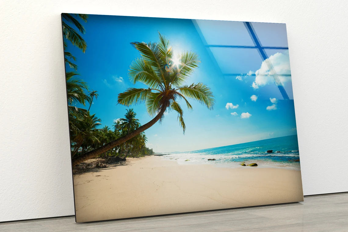 Palm Tree & Sea Scenery Photograph Acrylic Glass Print Tempered Glass Wall Art 100% Made in Australia Ready to Hang