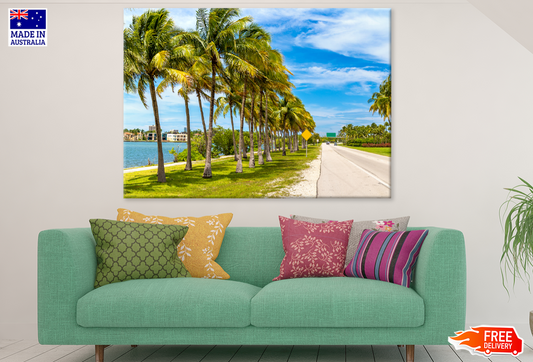 Road & Palm Trees River View Photograph Print 100% Australian Made