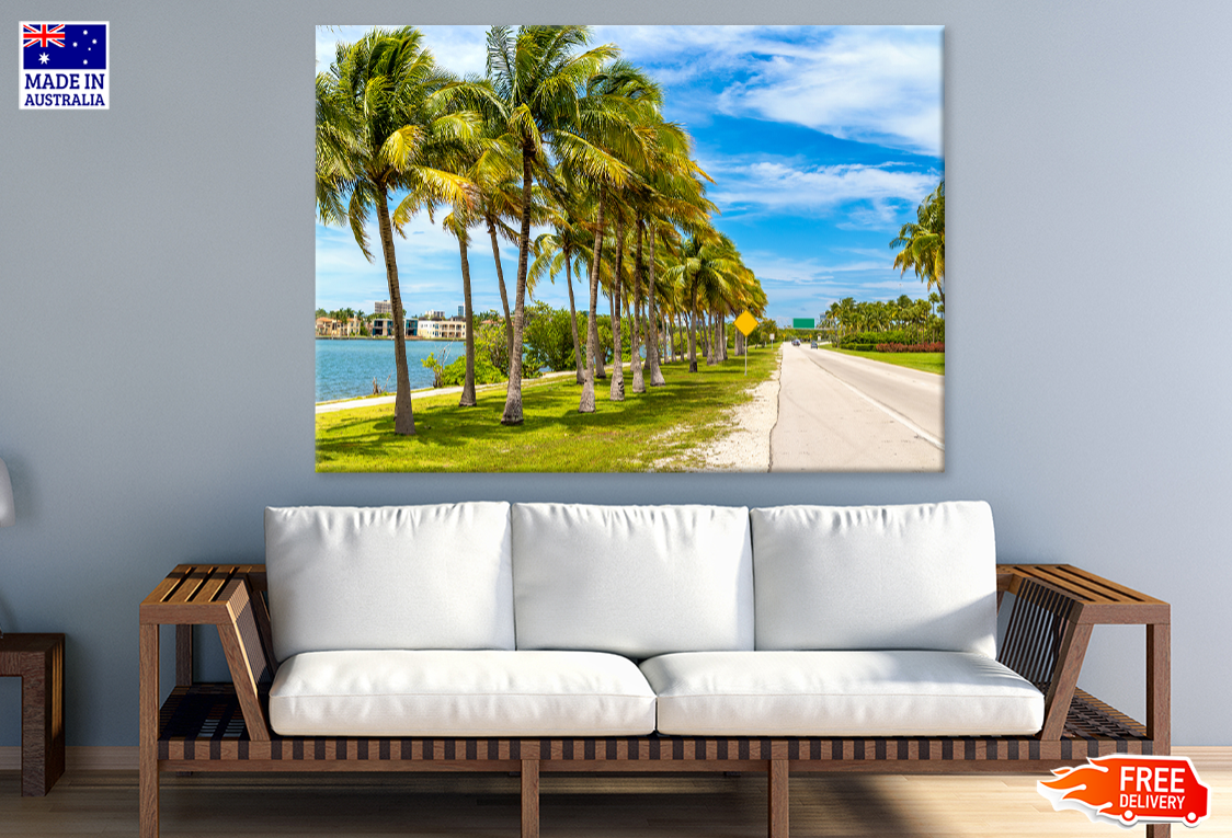 Road & Palm Trees River View Photograph Print 100% Australian Made