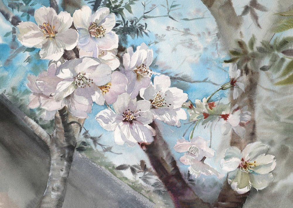 White Blossom Tree Closeup View Watercolor Painting Home Decor Premium Quality Poster Print Choose Your Sizes