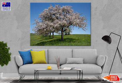 Blossom Flower Trees & Sky View Print 100% Australian Made