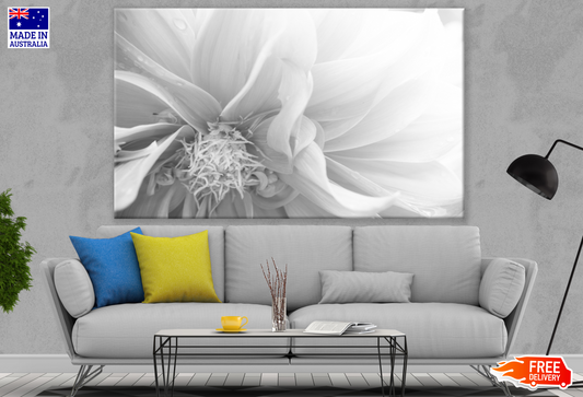 Flower Closeup B&W Photograph Print 100% Australian Made