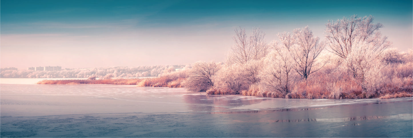 Panoramic Canvas Pink Tree Forest Snow High Quality 100% Australian made wall Canvas Print ready to hang