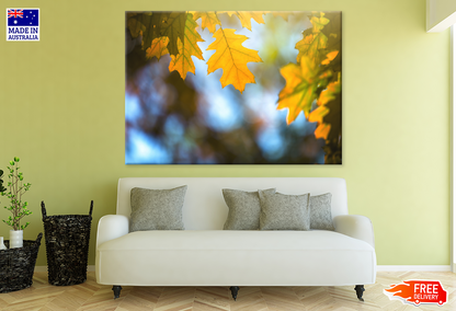 Autumn Leaves Closeup Photograph Print 100% Australian Made