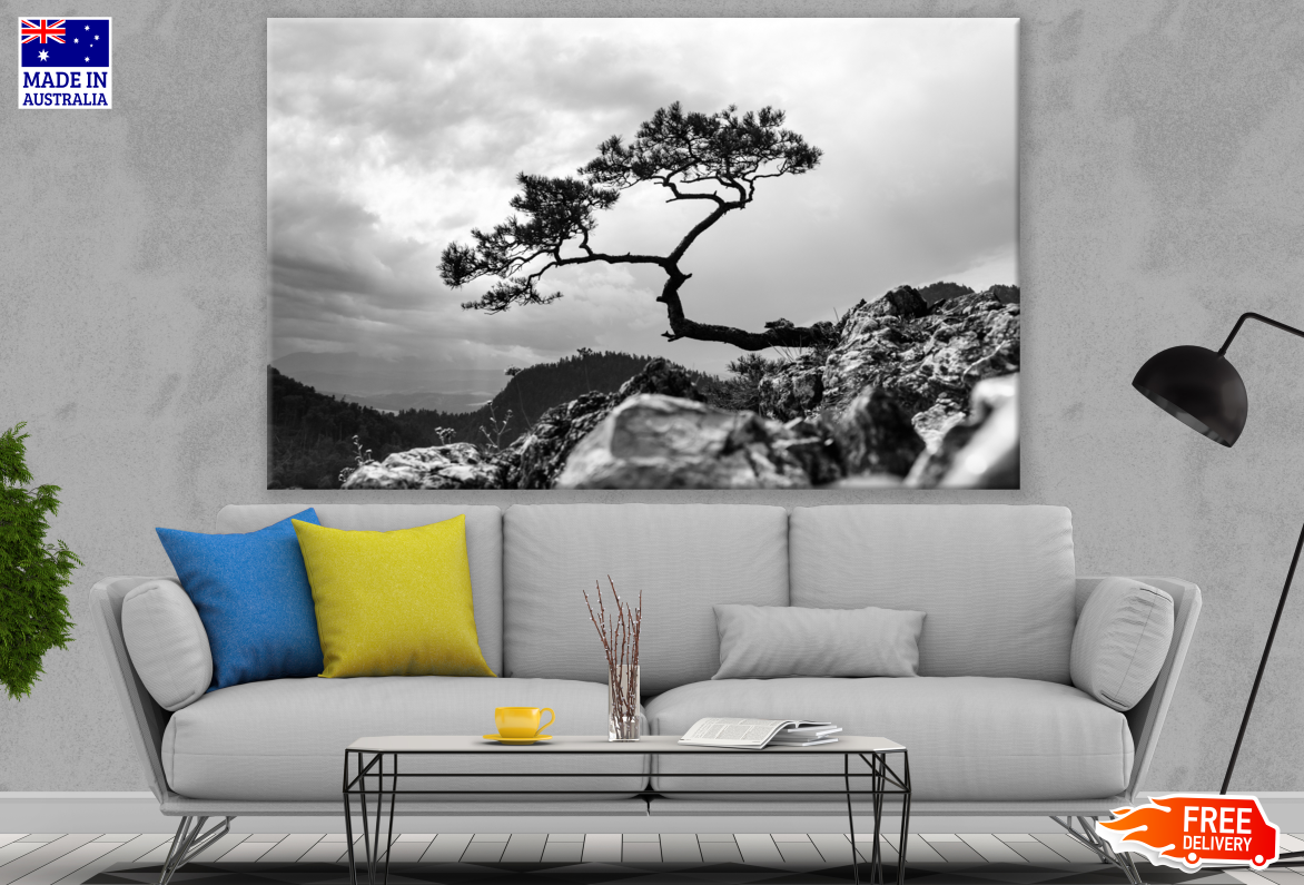 Tree on a Hill Slope B&W Photograph Print 100% Australian Made