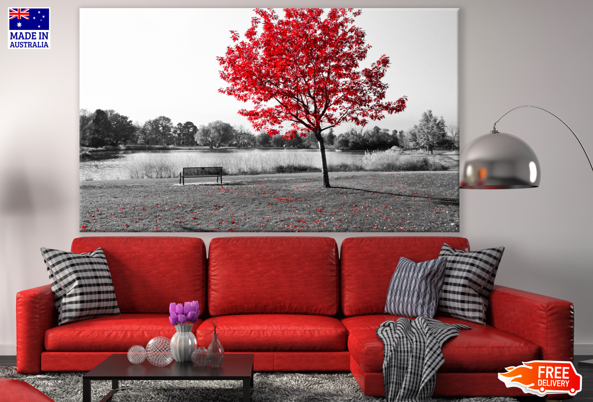 Bench Under Red Leafy Tree Near Lake B&W Photograph Print 100% Australian Made