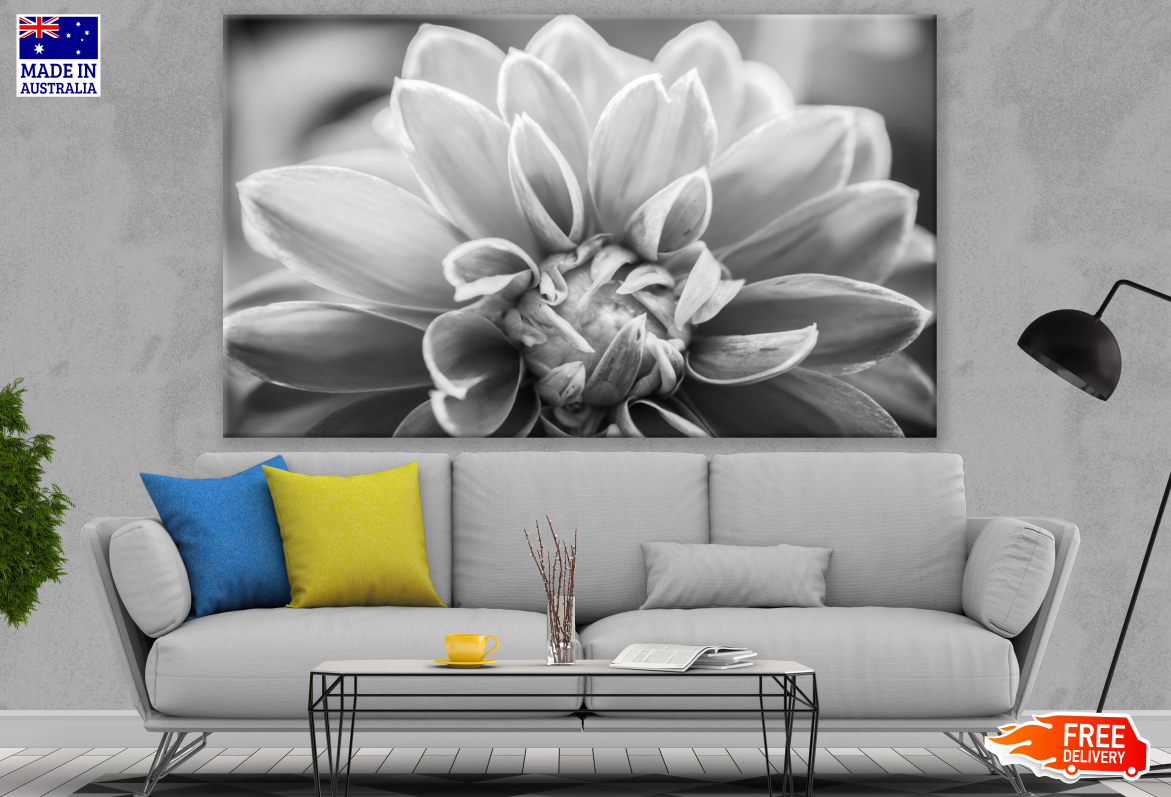 Flower Closeup B&W Photograph Print 100% Australian Made