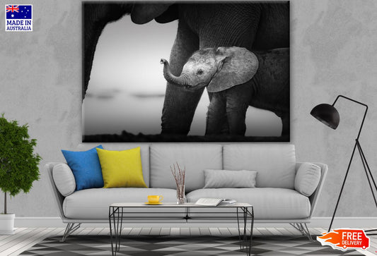 Baby Elephant B&W Photograph Print 100% Australian Made