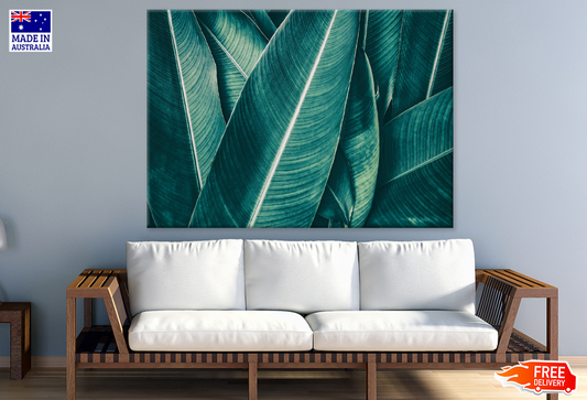 Palm Leaves Closeup Photograph Print 100% Australian Made