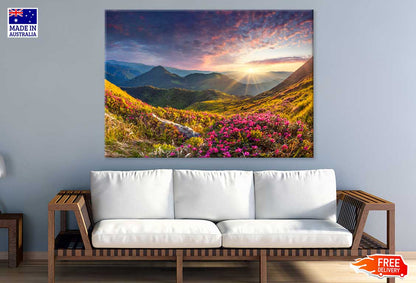 Flower Field on Mountain View Photograph Print 100% Australian Made