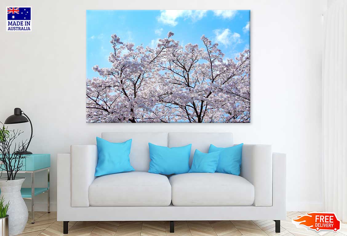 White Sakura Tree & Blue Sky View Photograph Print 100% Australian Made